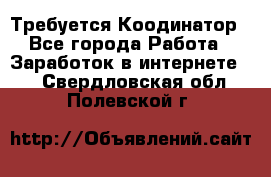 Требуется Коодинатор - Все города Работа » Заработок в интернете   . Свердловская обл.,Полевской г.